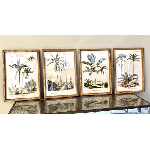 359 - BOTANICAL PRINTS, set of four, framed and glazed, 50cm x 35cm each. (4)