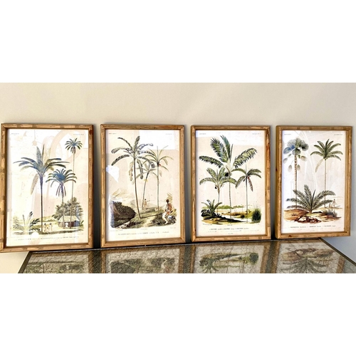 359 - BOTANICAL PRINTS, set of four, framed and glazed, 50cm x 35cm each. (4)