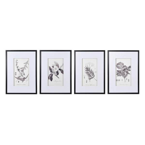 383 - BOTANICAL prints, set of four, framed and glazed, each 70cm x 50cm. (4)