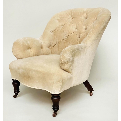 94 - ARMCHAIR, Victorian walnut with chenille velvet buttoned upholstery and turned front supports, 66cm ... 