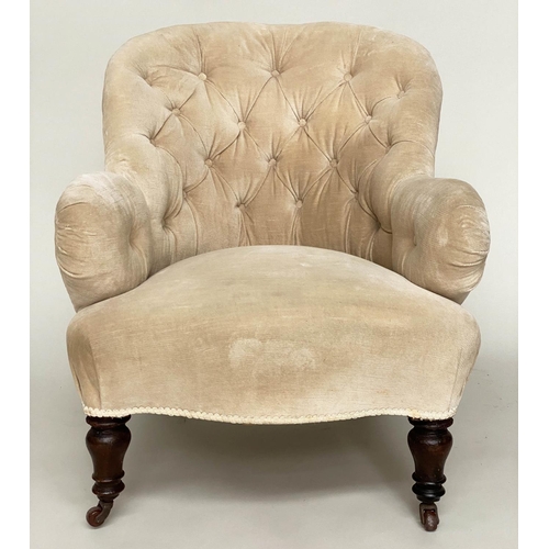 94 - ARMCHAIR, Victorian walnut with chenille velvet buttoned upholstery and turned front supports, 66cm ... 