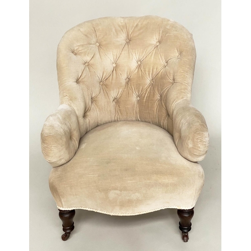 94 - ARMCHAIR, Victorian walnut with chenille velvet buttoned upholstery and turned front supports, 66cm ... 