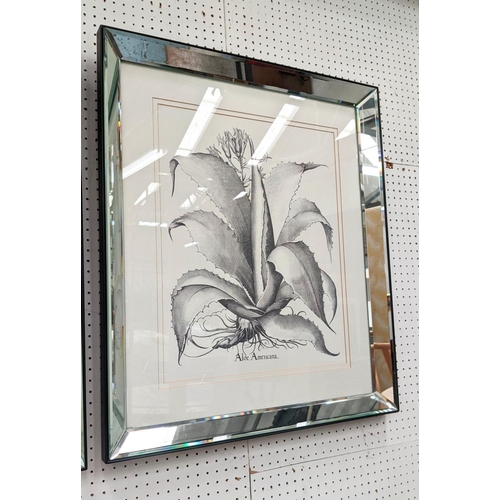 461 - TROWBRIDGE BOTANICAL PRINTS, a set of four, framed and glazed, 165cm x 75cm. (4)