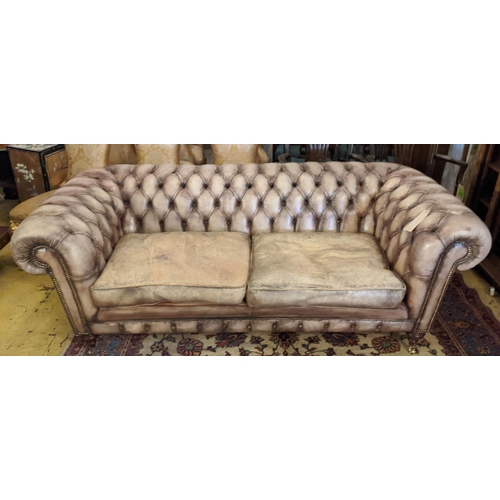 119 - CHESTERFIELD SOFA, 208cm W x 96cm D x 81cm H, in buttoned brown leather.