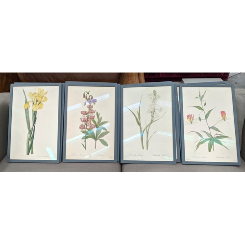 298 - BOTANICAL PRINTS, a set of ten, framed, 56cm x 38cm. (10)