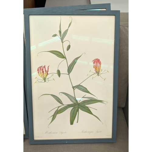 298 - BOTANICAL PRINTS, a set of ten, framed, 56cm x 38cm. (10)