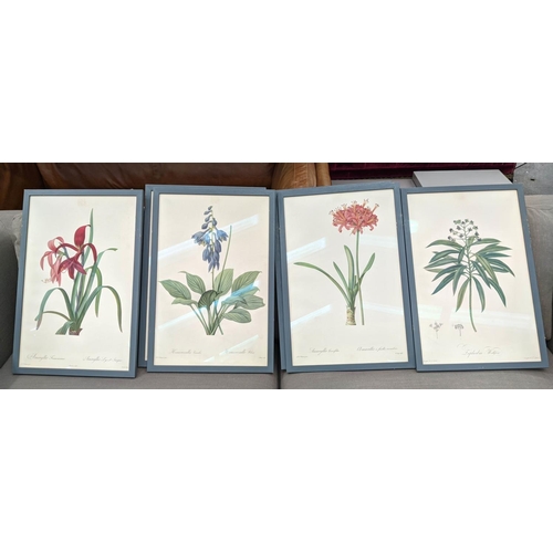 298 - BOTANICAL PRINTS, a set of ten, framed, 56cm x 38cm. (10)