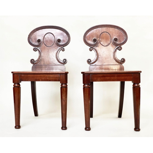 192 - HALL CHAIRS, a pair, 19th century William IV mahogany, each with scroll carved back and facetted fro... 