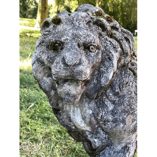 221 - GARDEN LIONS, an opposing pair, well weathered reconstituted stone of neo-classical form each with '... 