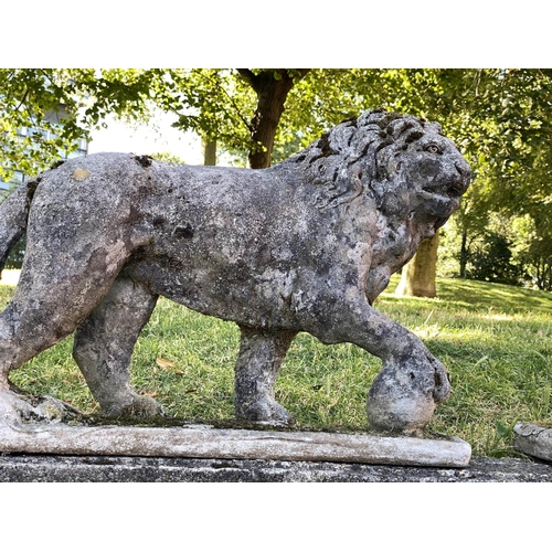 221 - GARDEN LIONS, an opposing pair, well weathered reconstituted stone of neo-classical form each with '... 