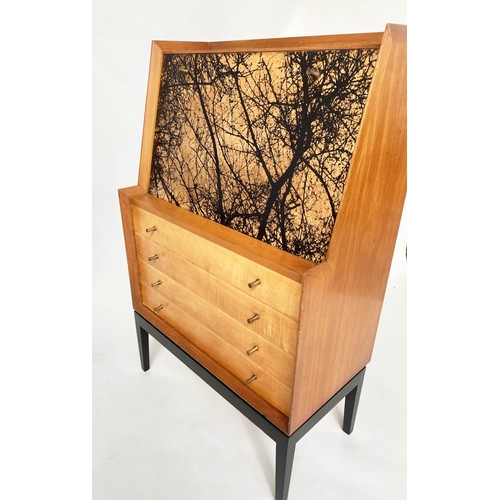 443 - BUREAU, teak and maple with lithograph decorated fall front above four long drawers, 77cm W x 41cm D... 