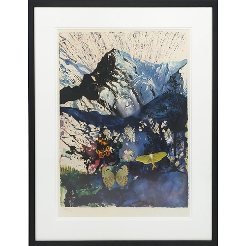 85 - SALVADOR DALI, 'Butterfly Suite' lithographs, numbered in pencil, with blind stamp signature, each n... 