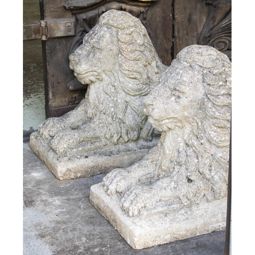 152 - RECUMBENT LIONS, 50cm H x 33cm W, sold as a pair, reconstituted stone. (2)