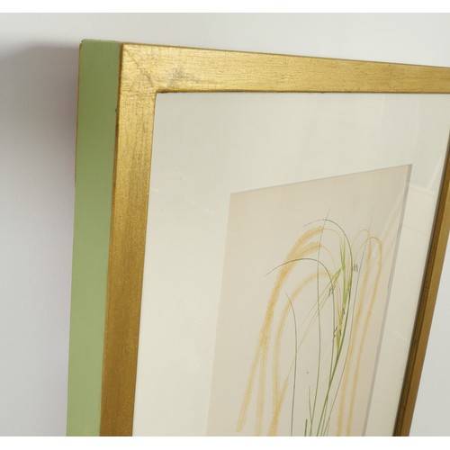 114 - E.J. LOWE, Grasses, a set of 12 botanical prints, each 30cm x 23cm, circa 1858, individually framed.