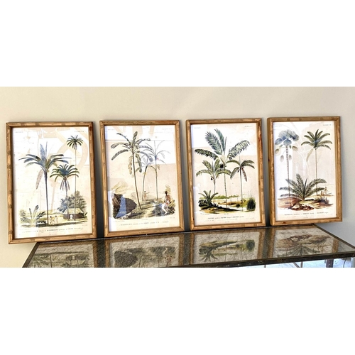 238 - BOTANICAL PRINTS, set of four, bamboo framed and glazed, 50cm x 35cm each. (4)