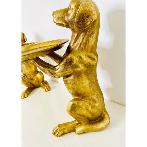 247 - LABRADOR BUTLER TRAYS, a pair, gilt finish, 44cm x 38cm x 27cm. (2)