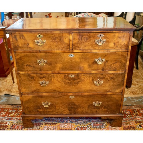 294 - HALL CHEST, 94cm H x 94cm W x 43cm D,  19th century burr walnut, of two short and three long drawers... 