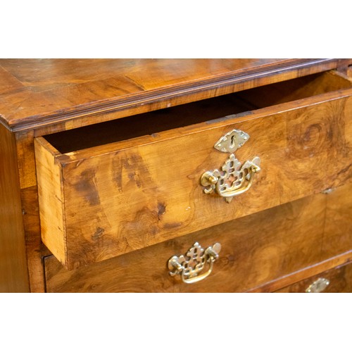 294 - HALL CHEST, 94cm H x 94cm W x 43cm D,  19th century burr walnut, of two short and three long drawers... 