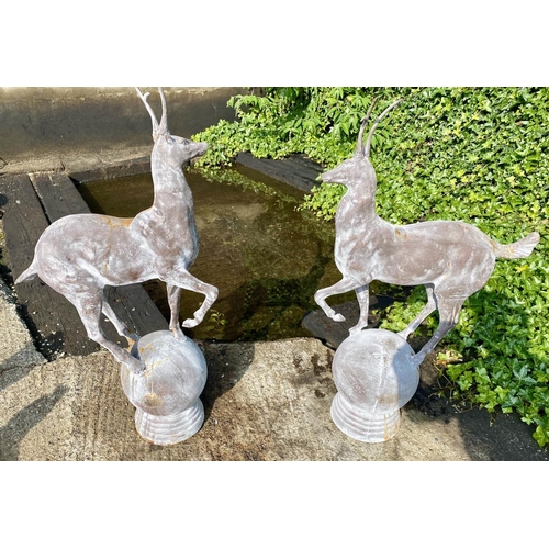 545 - SCULPTURAL STAGS, a pair, 100cm high, 60cm wide, cast metal, on globular bases. (2)