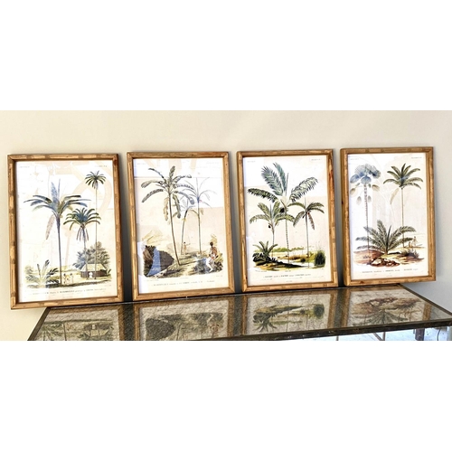 453 - BOTANICAL PRINTS, set of four, framed, 50cm x 35cm each. (4)