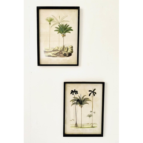 468 - BOTANICAL PRINTS, a pair, framed, 56cm H x 41cm W. (2)