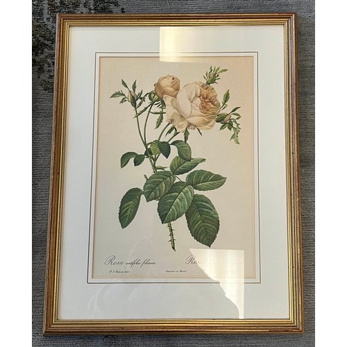 26 - AFTER PIERRE JOSEPH REDOUTE 'ROSES', a set of five lithographs, each 51cm x 40cm, framed. (5)