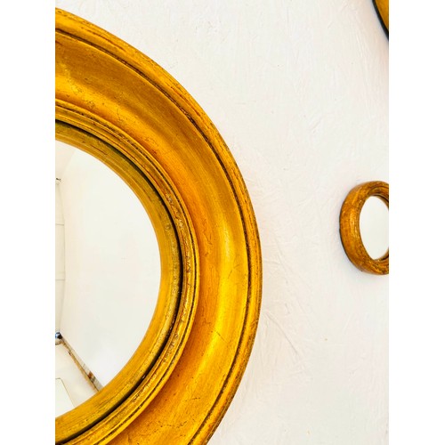 344 - CONVEX WALL MIRRORS, a set of twelve, Regency style, various shapes and sizes, gilt frames, largest ... 