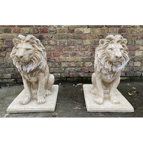 447 - SCULPTURAL LIONS, a pair, composite stone, 69cm H. (2)