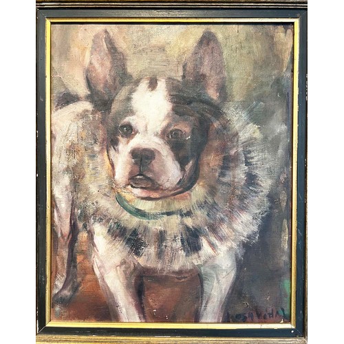 42 - EARLY 20TH CENTURY FRENCH SCHOOL 'French bulldog with a ruff collar', oil on canvas, 42cm x 33cm, in... 