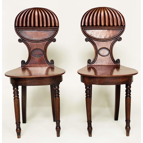 193 - HALL CHAIRS, a pair, Regency mahogany with 'balloon' reeded and 'C' scroll backs, panel seats and tu... 