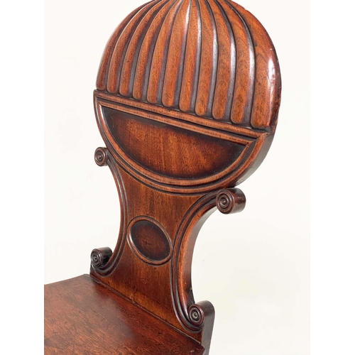 193 - HALL CHAIRS, a pair, Regency mahogany with 'balloon' reeded and 'C' scroll backs, panel seats and tu... 