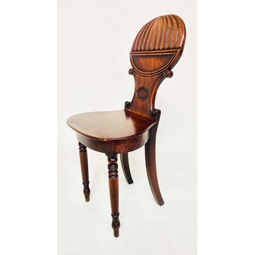 193 - HALL CHAIRS, a pair, Regency mahogany with 'balloon' reeded and 'C' scroll backs, panel seats and tu... 