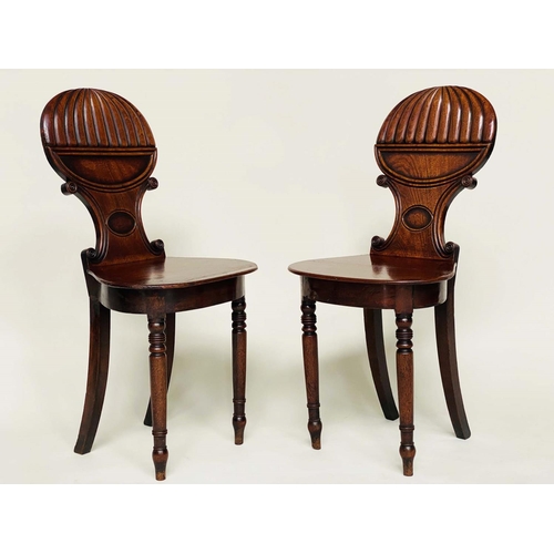 193 - HALL CHAIRS, a pair, Regency mahogany with 'balloon' reeded and 'C' scroll backs, panel seats and tu... 