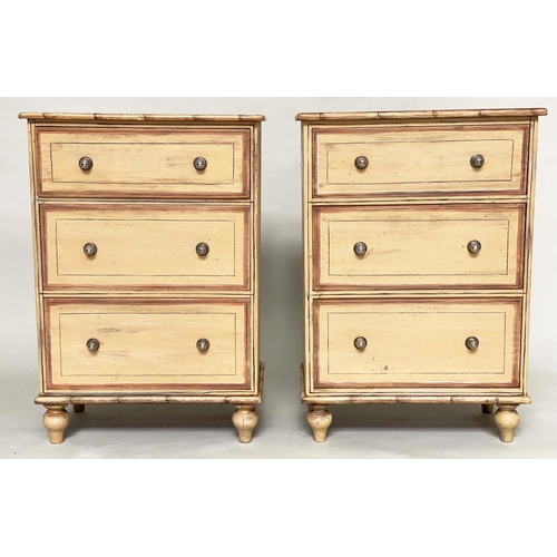 208 - FAUX BAMBOO CHESTS, a pair, early 20th century Edwardian painted lined and faux bamboo framed each w... 