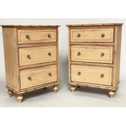 208 - FAUX BAMBOO CHESTS, a pair, early 20th century Edwardian painted lined and faux bamboo framed each w... 