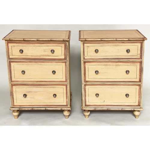 208 - FAUX BAMBOO CHESTS, a pair, early 20th century Edwardian painted lined and faux bamboo framed each w... 