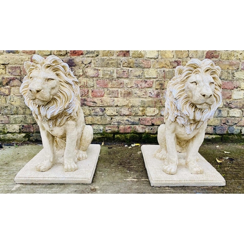 428 - SCULPTURAL LIONS, a pair, composite stone, 69cm H. (2)