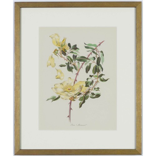 119 - JOHN NASH (brother of Paul Nash), a set of twelve English Flowers, botanical lithographs 1948, print... 