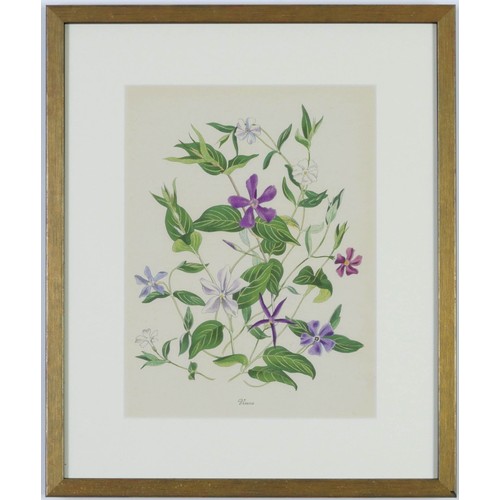 119 - JOHN NASH (brother of Paul Nash), a set of twelve English Flowers, botanical lithographs 1948, print... 