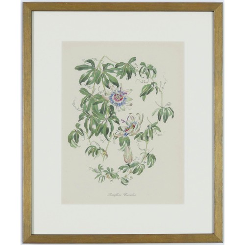 119 - JOHN NASH (brother of Paul Nash), a set of twelve English Flowers, botanical lithographs 1948, print... 