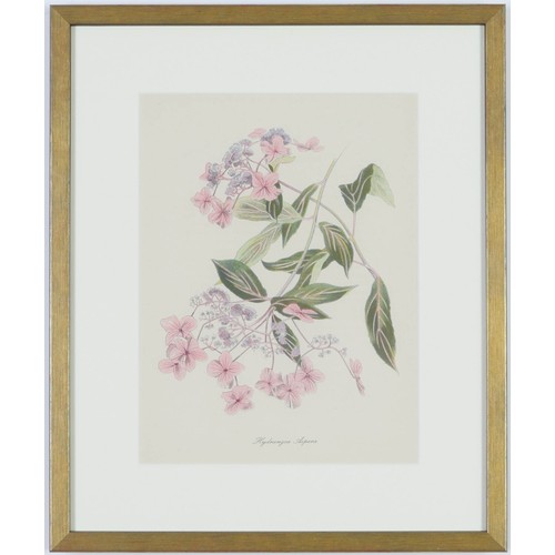 119 - JOHN NASH (brother of Paul Nash), a set of twelve English Flowers, botanical lithographs 1948, print... 