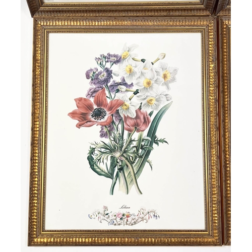 39 - BOTANICAL PRINTS, a set of eight, 50cm x 39cm, gilt framed. (8)