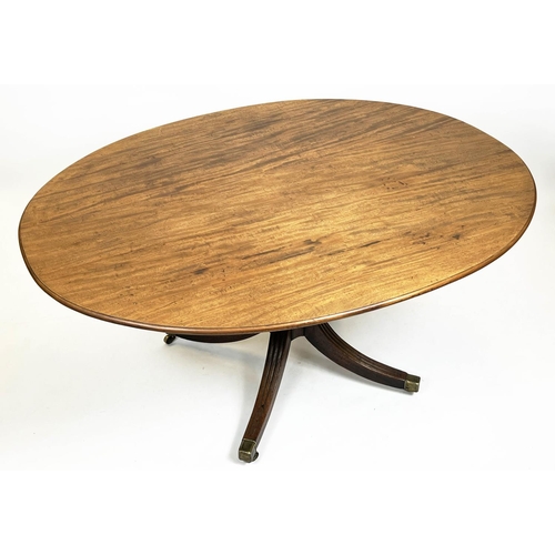 203 - BREAKFAST TABLE, 72cm H x 151cm W x 116cm D, Regency mahogany with oval tilt top and brass castors.