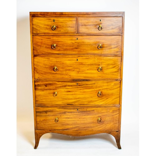 199 - TALL CHEST, 137cm H x 87cm W x 47cm D, Regency mahogany, of six drawers.