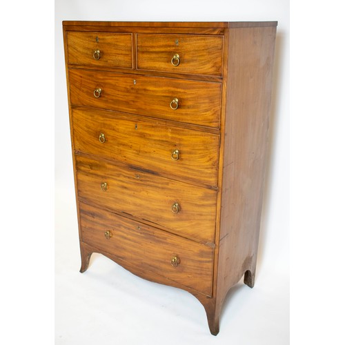 199 - TALL CHEST, 137cm H x 87cm W x 47cm D, Regency mahogany, of six drawers.