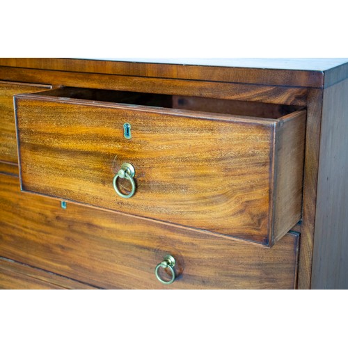 199 - TALL CHEST, 137cm H x 87cm W x 47cm D, Regency mahogany, of six drawers.