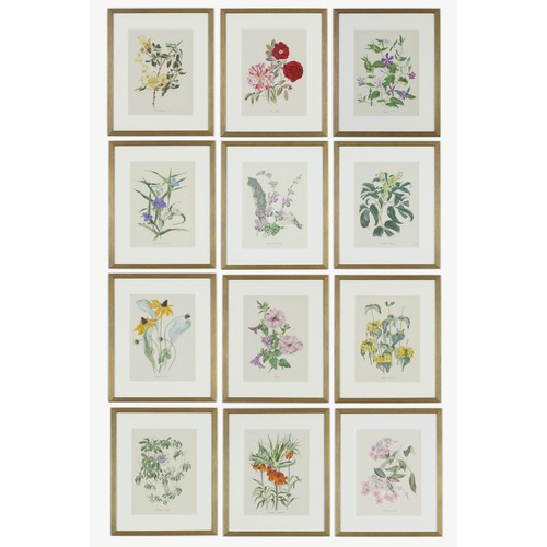 72 - JOHN NASH (brother of Paul Nash), a set of twelve English Flowers, botanical lithographs 1948, print... 