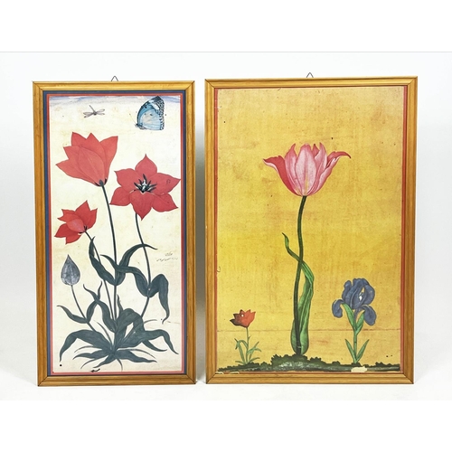 58 - BOTANICAL TULIP PRINTS, two, 17th/18th century Mughal style, largest 89cm x 58cm, framed. (2)