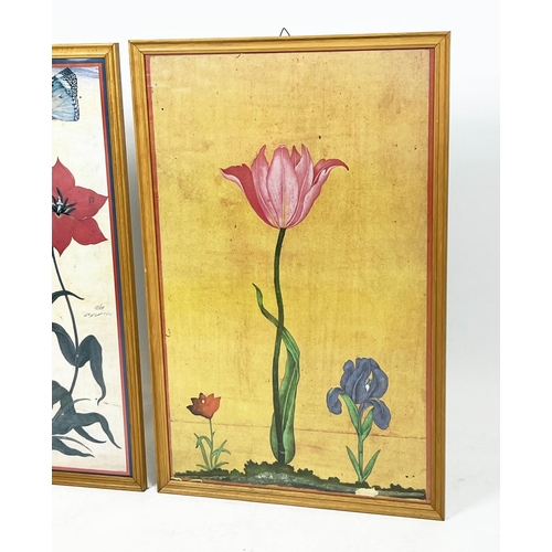 58 - BOTANICAL TULIP PRINTS, two, 17th/18th century Mughal style, largest 89cm x 58cm, framed. (2)