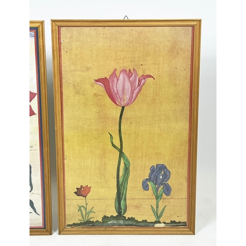 58 - BOTANICAL TULIP PRINTS, two, 17th/18th century Mughal style, largest 89cm x 58cm, framed. (2)